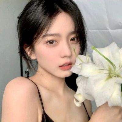 大宗师bt加速版下载